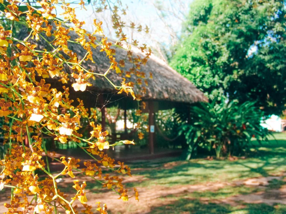 Mana Kai Camping & Cabins ซานอิกนาซิโอ ภายนอก รูปภาพ